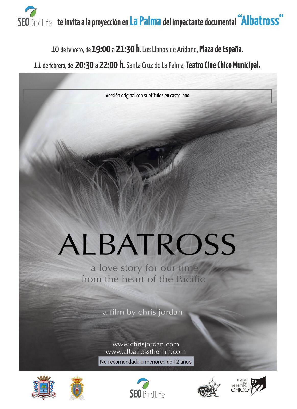 Albatross[33960]